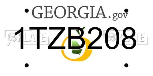 1TZB208 Georgia License Plate