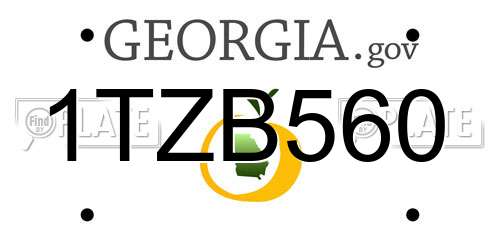 1TZB560 Georgia License Plate