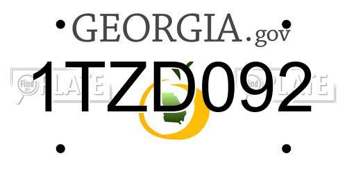 1TZD092 Georgia License Plate
