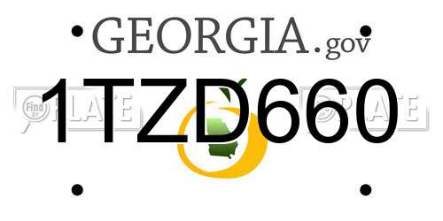 1TZD660 Georgia License Plate