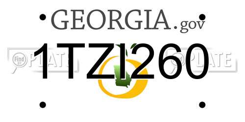 1TZI260 Georgia License Plate