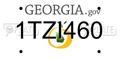 1TZI460 Georgia License Plate