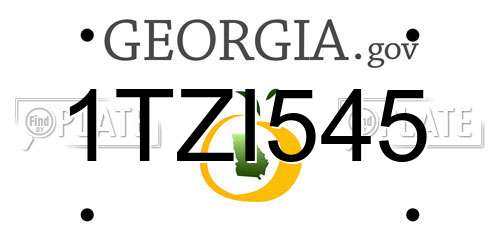 1TZI545 Georgia License Plate