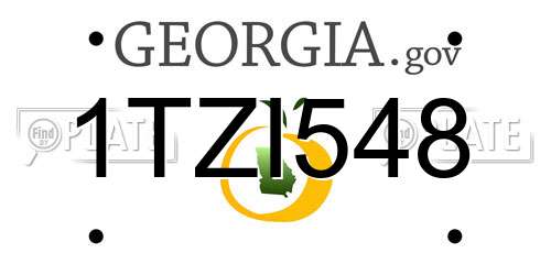 1TZI548 Georgia License Plate