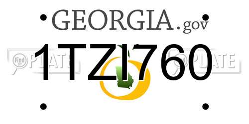 1TZI760 Georgia License Plate