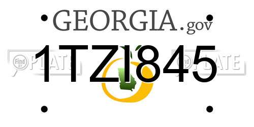 1TZI845 Georgia License Plate