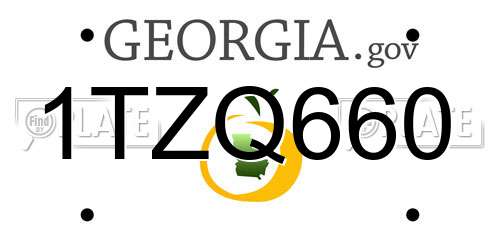 1TZQ660 Georgia License Plate