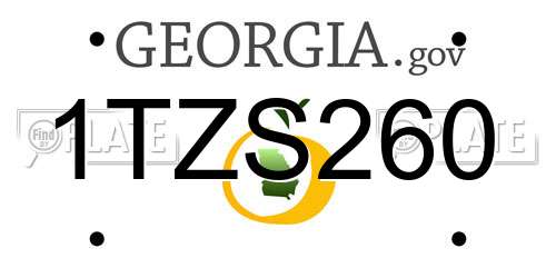 1TZS260 Georgia License Plate