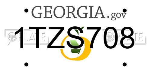 1TZS708 Georgia License Plate