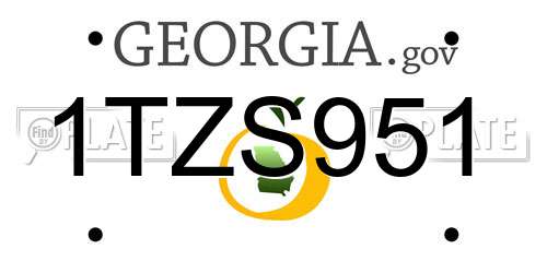 1TZS951 Georgia License Plate