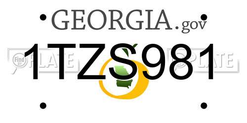 1TZS981 Georgia License Plate