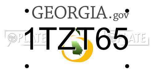 1TZT65 Georgia License Plate
