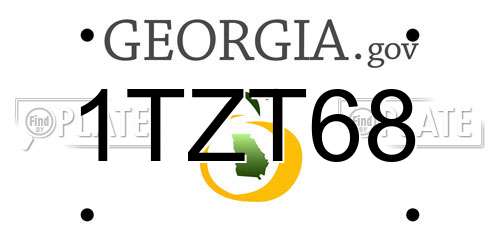 1TZT68 Georgia License Plate