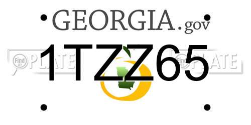 1TZZ65 Georgia License Plate