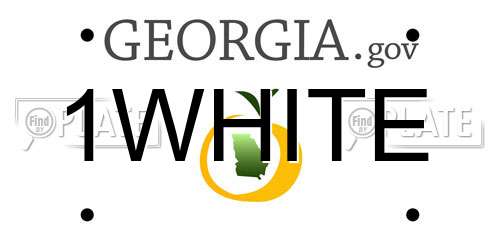 1WHITE Georgia License Plate