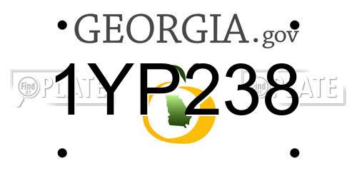 1YP238 Georgia License Plate