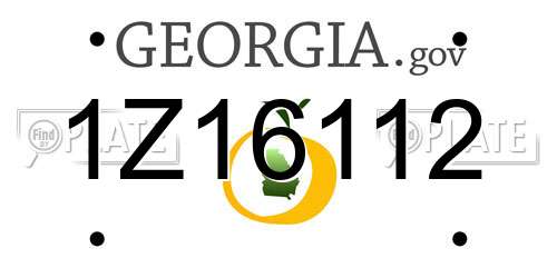 1Z16112 Georgia License Plate