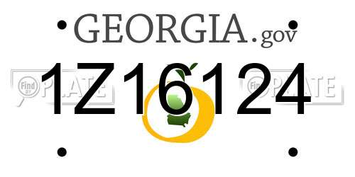 1Z16124 Georgia License Plate