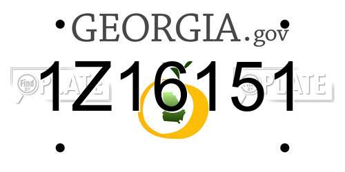 1Z16151 Georgia License Plate