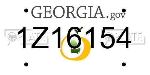1Z16154 Georgia License Plate