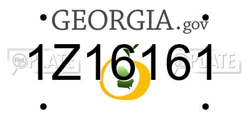 1Z16161 Georgia License Plate