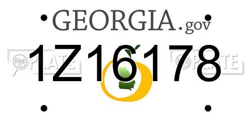 1Z16178 Georgia License Plate