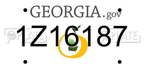 1Z16187 Georgia License Plate