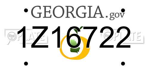 1Z16722 Georgia License Plate