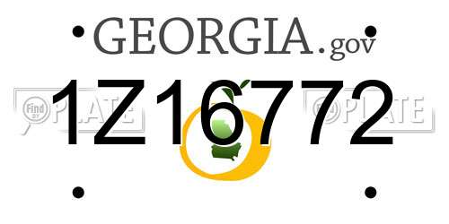1Z16772 Georgia License Plate