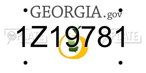1Z19781 Georgia License Plate