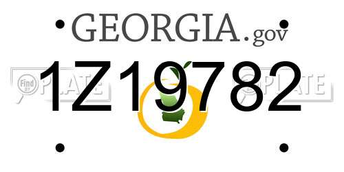 1Z19782 Georgia License Plate