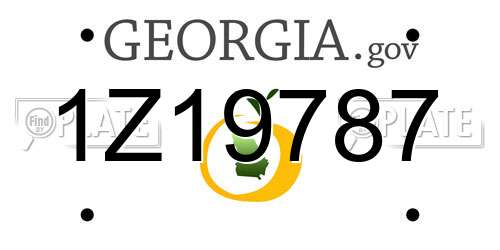 1Z19787 Georgia License Plate