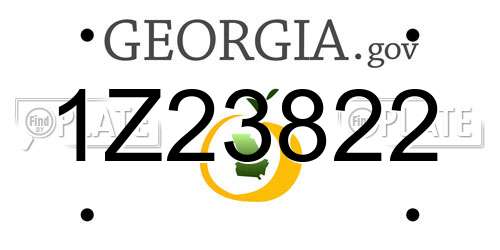 1Z23822 Georgia License Plate