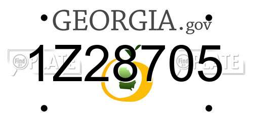 1Z28705 Georgia License Plate
