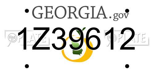 1Z39612 Georgia License Plate