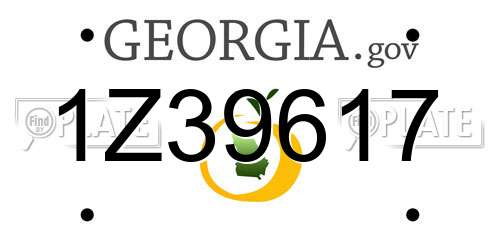 1Z39617 Georgia License Plate