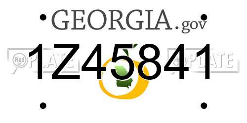1Z45841 Georgia License Plate