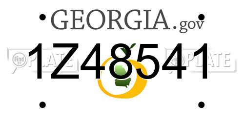1Z48541 Georgia License Plate