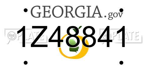 1Z48841 Georgia License Plate