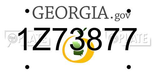 1Z73877 Georgia License Plate