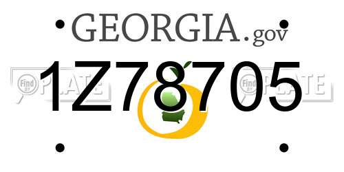 1Z78705 Georgia License Plate
