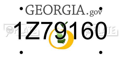 1Z79160 Georgia License Plate