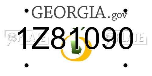 1Z81090 Georgia License Plate