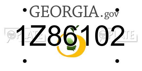 1Z86102 Georgia License Plate