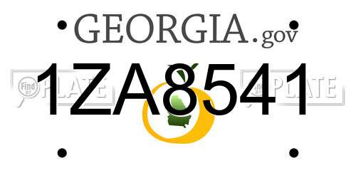 1ZA8541 Georgia License Plate