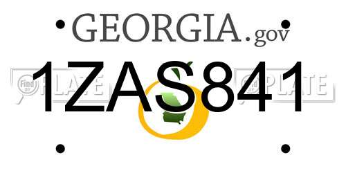 1ZAS841 Georgia License Plate
