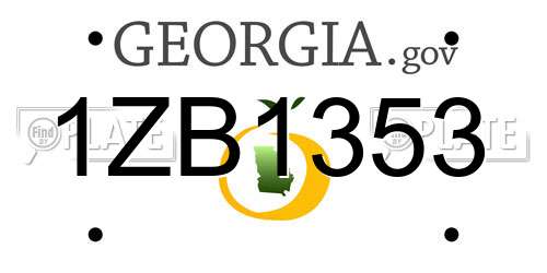 1ZB1353 Georgia License Plate