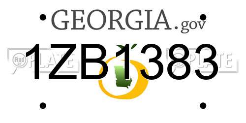 1ZB1383 Georgia License Plate