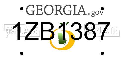 1ZB1387 Georgia License Plate
