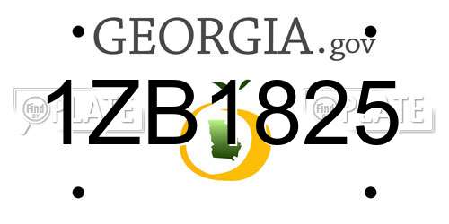 1ZB1825 Georgia License Plate